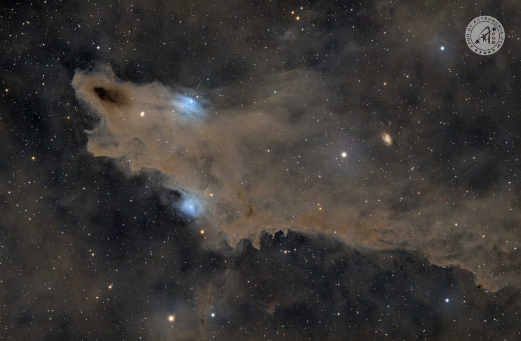 Shark Nebula Apod By Astronomia