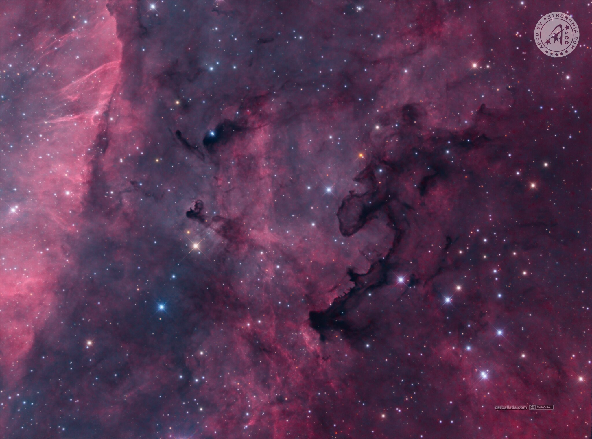 Dark Nebula LDN881