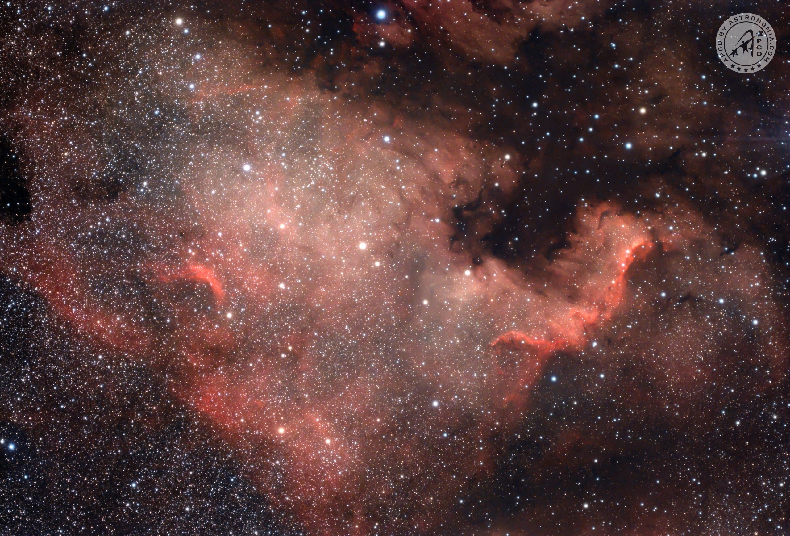 Nebulosa Nord America – NGC 7000