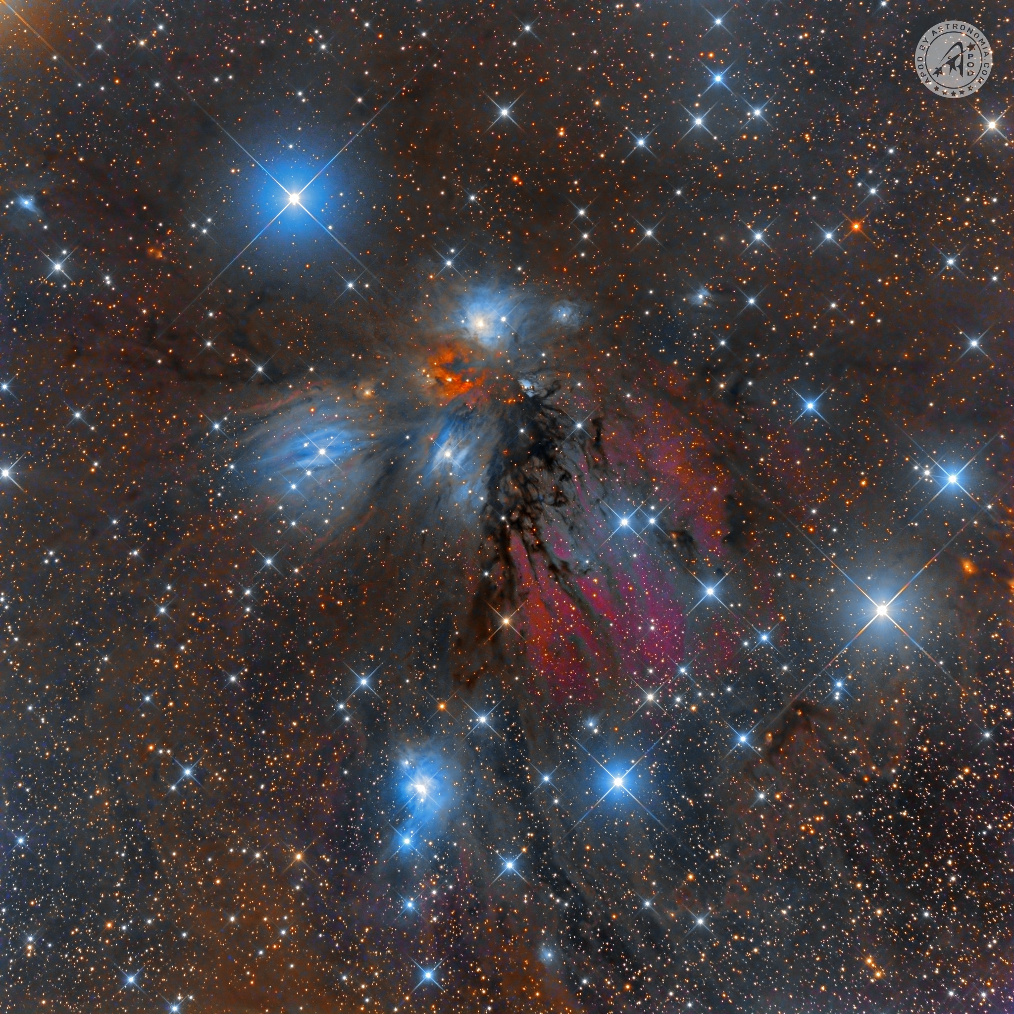 NEBULOSA ANGELO – NGC 2170