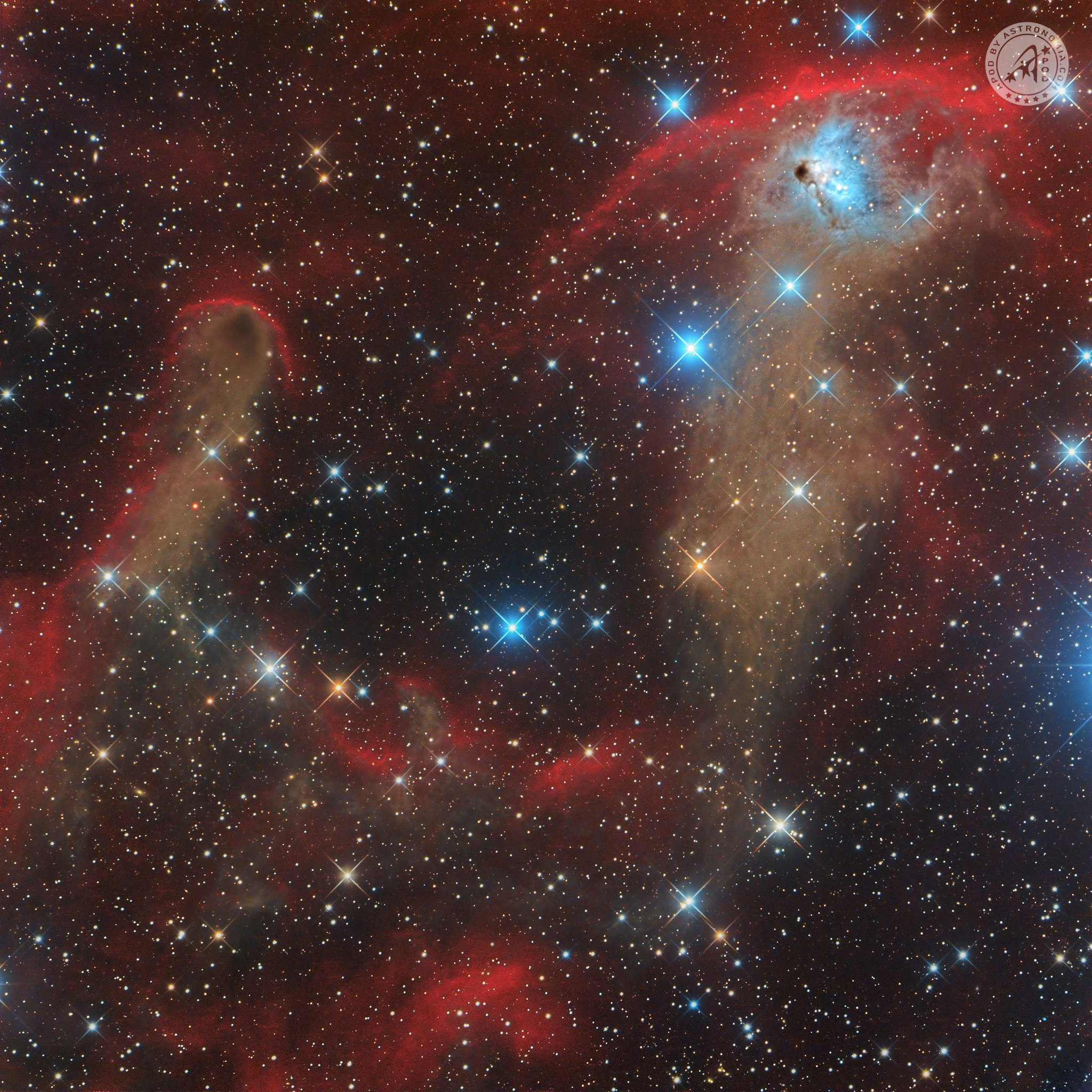 NGC 1788 e LDN 1616