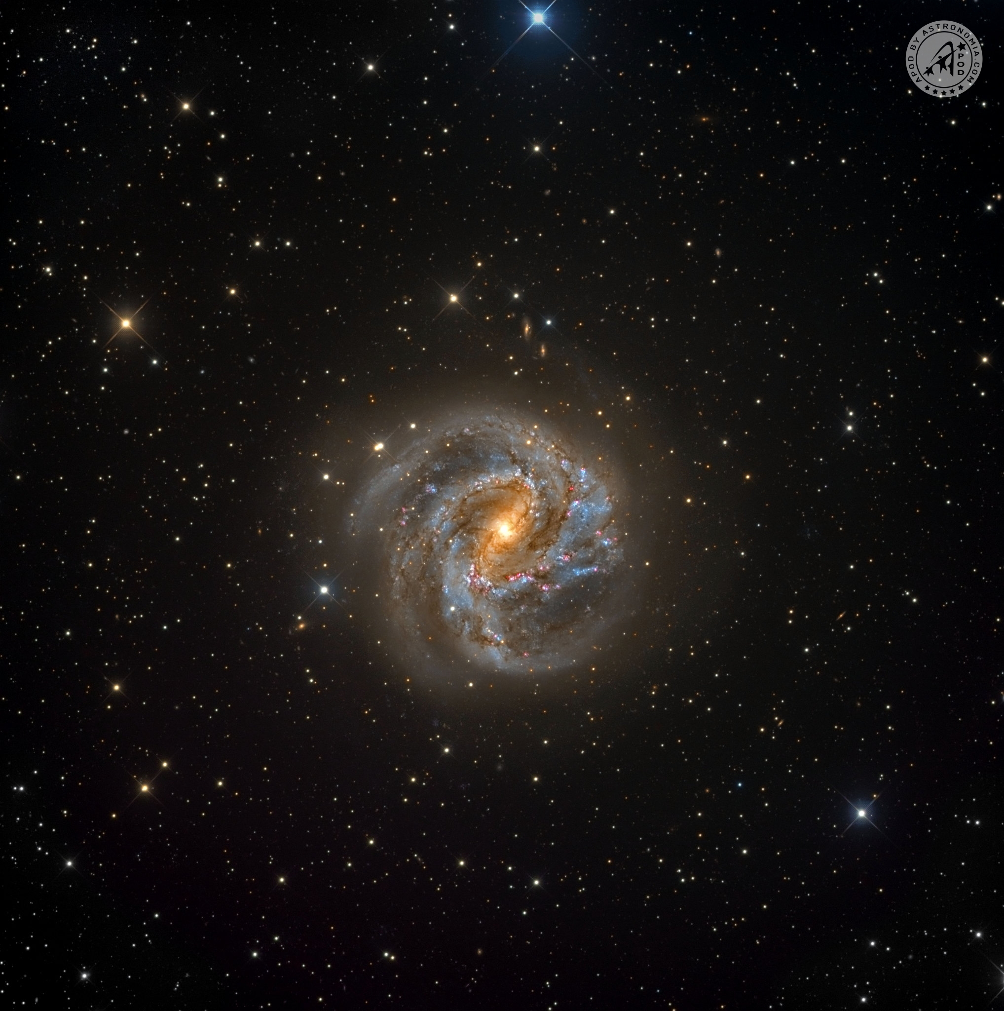 Galassia Girandola del Sud – M83
