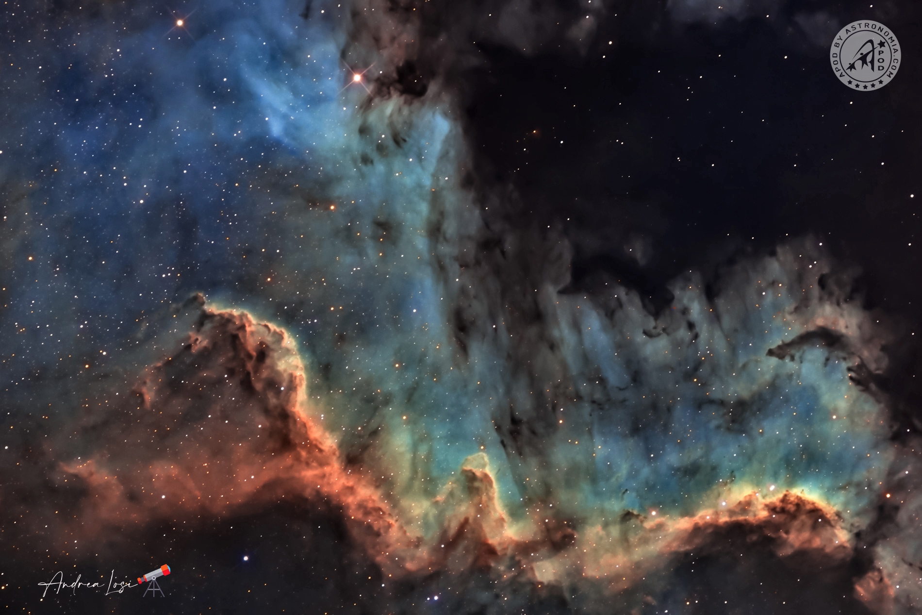 Muro del Cigno (NGC 7000)