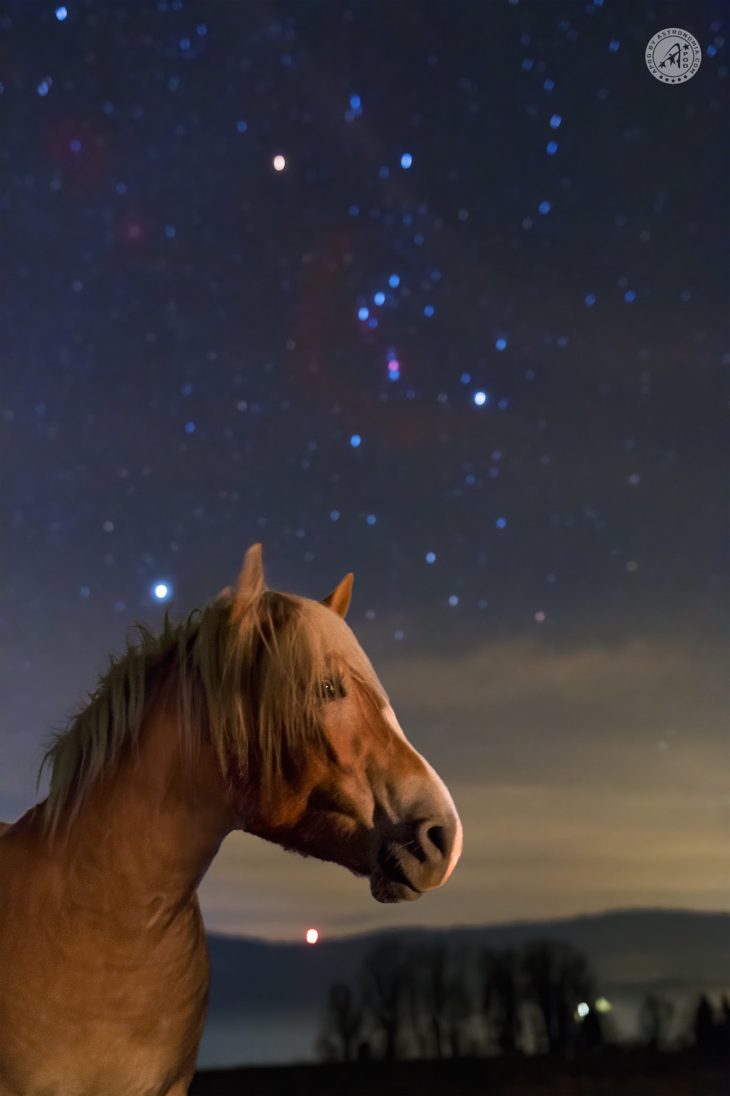 Orione e Testa di Cavallo