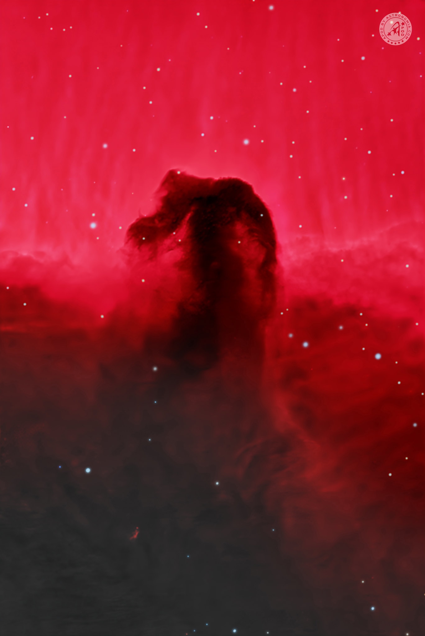 Nebulosa Testa di Cavallo - IC434
