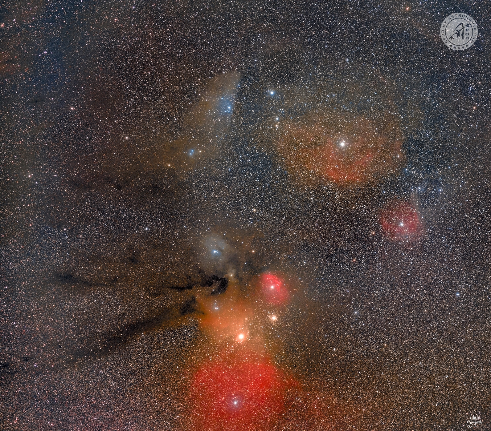 La Nube di Rho Ophiuchi