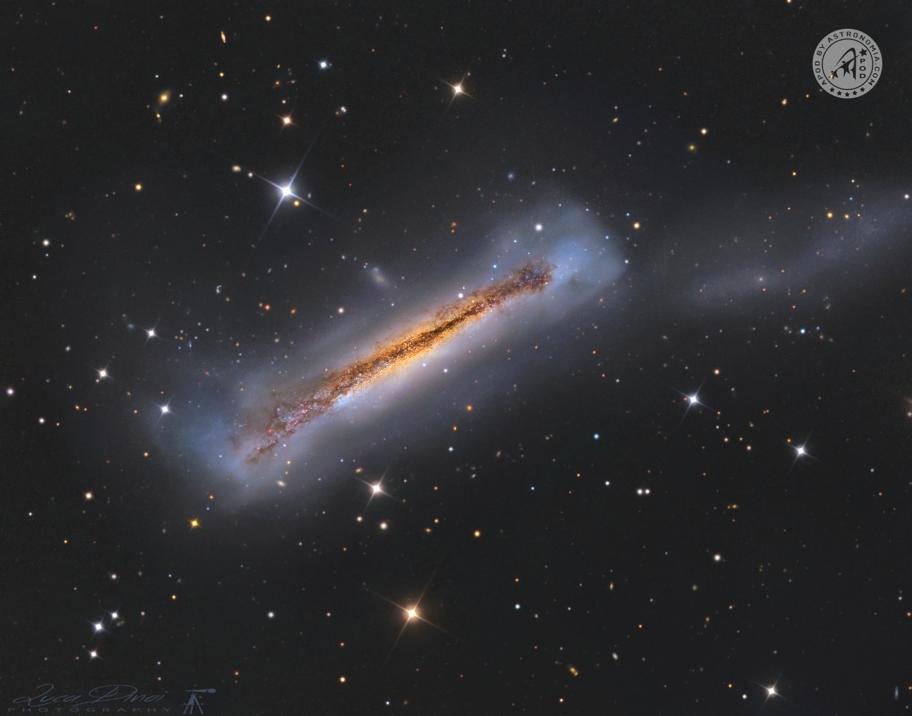 NGC 3628, Galassia Hamburger