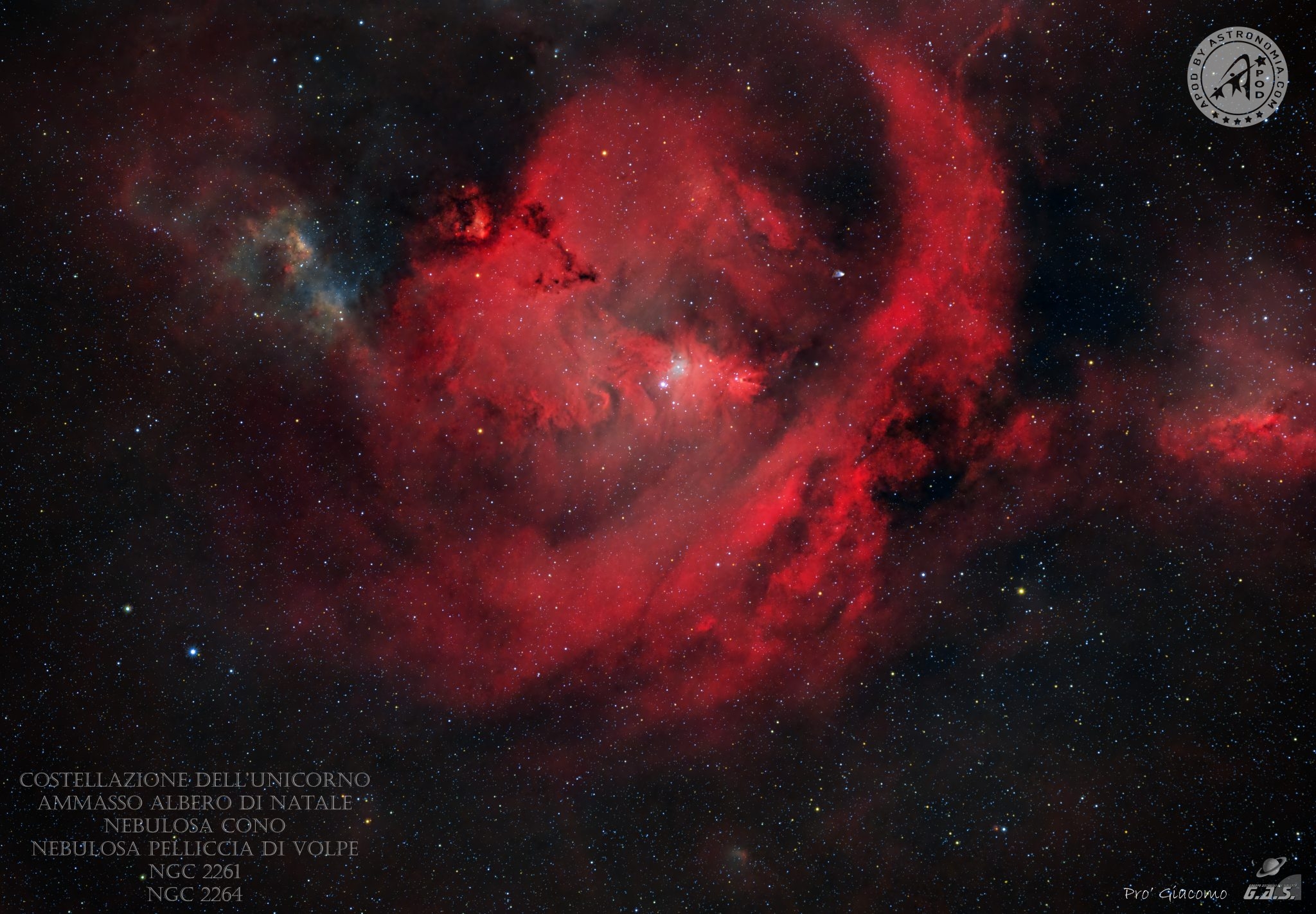 Complesso molecolare dell'albero di Natale APOD by