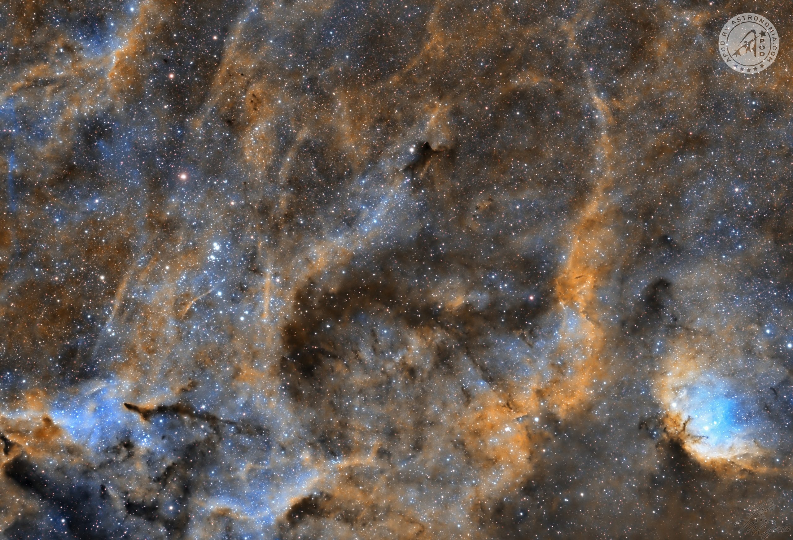 Nebulosa Tulipano