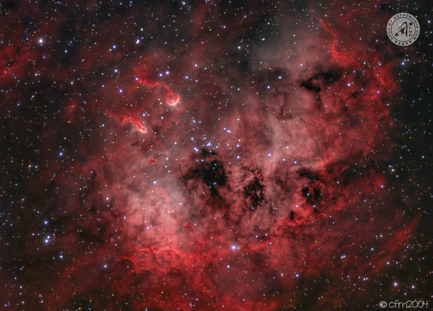 Nebulosa dei Girini