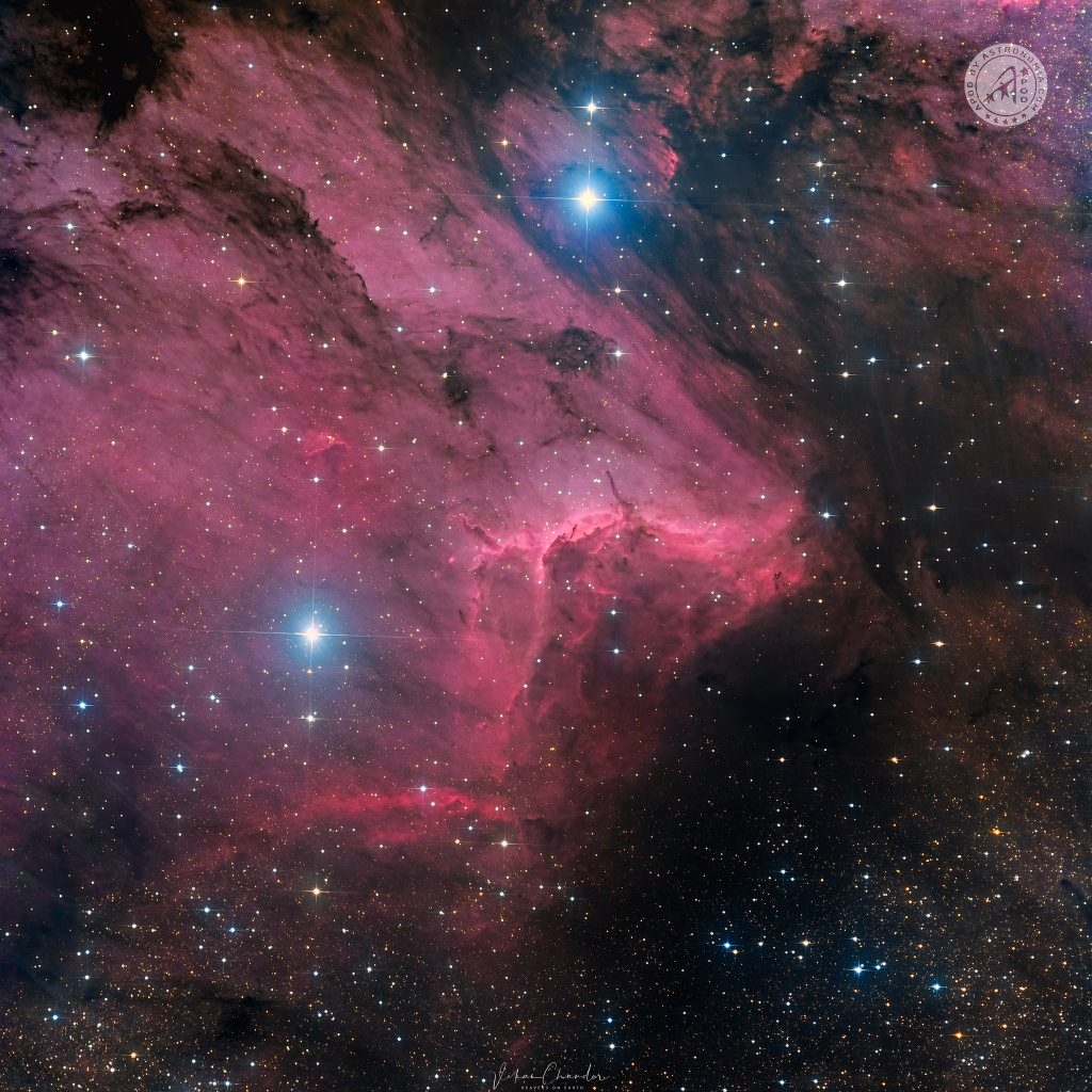 Nebulosa Pellicano APOD by
