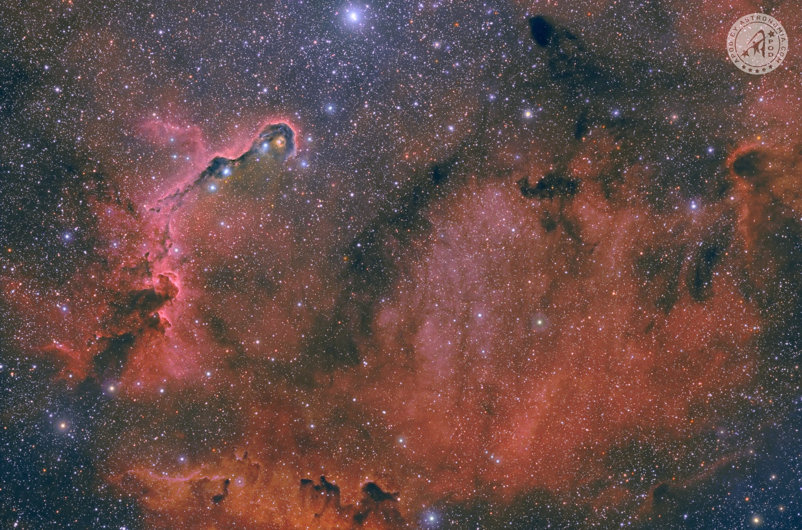 Nebulosa Proboscide di Elefante