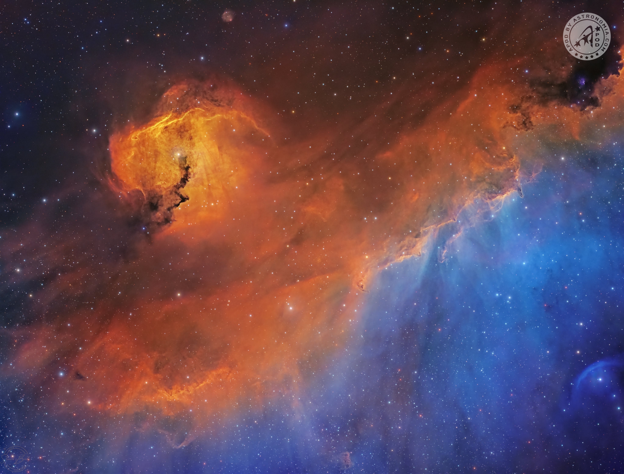 IC2177, un gabbiano di 100 anni luce