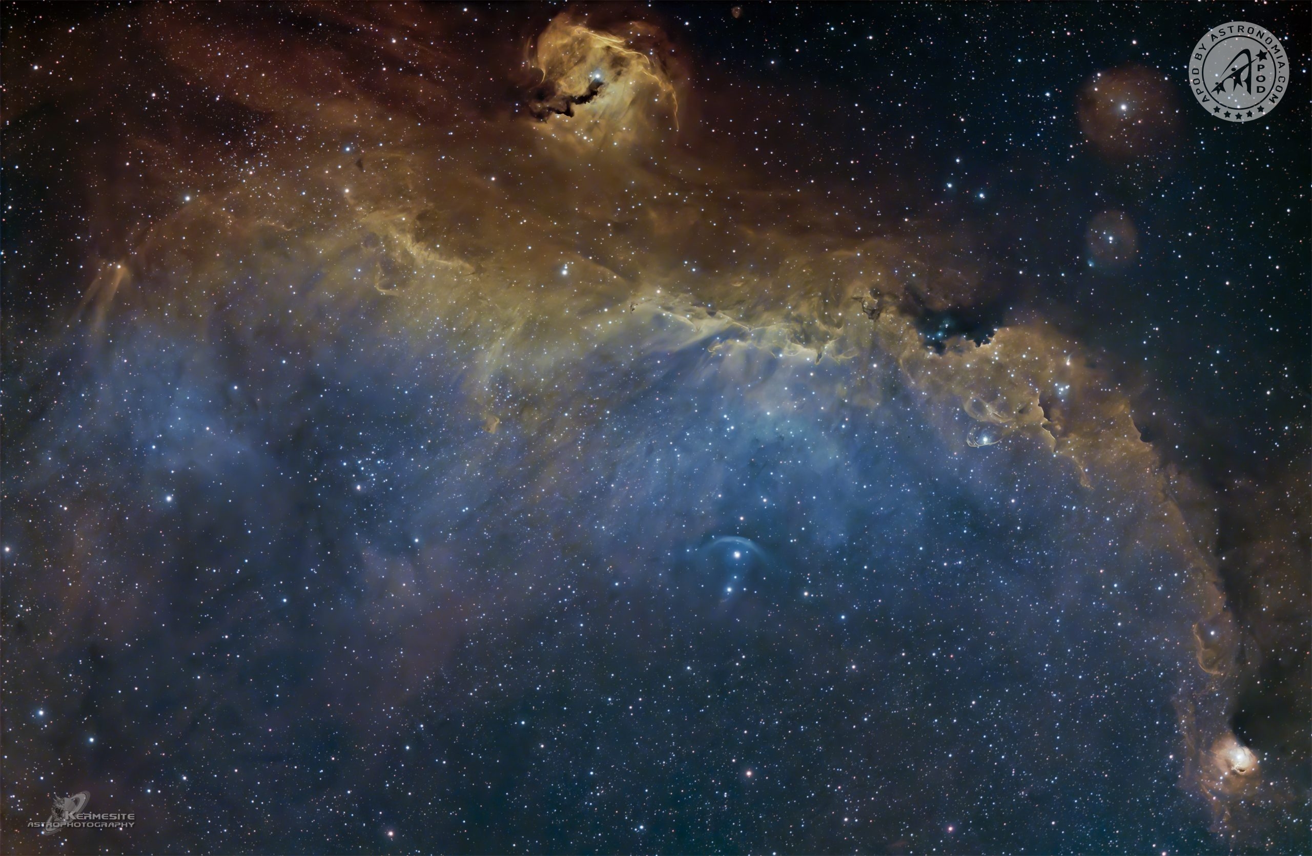 Nebulosa Gabbiano IC 2177