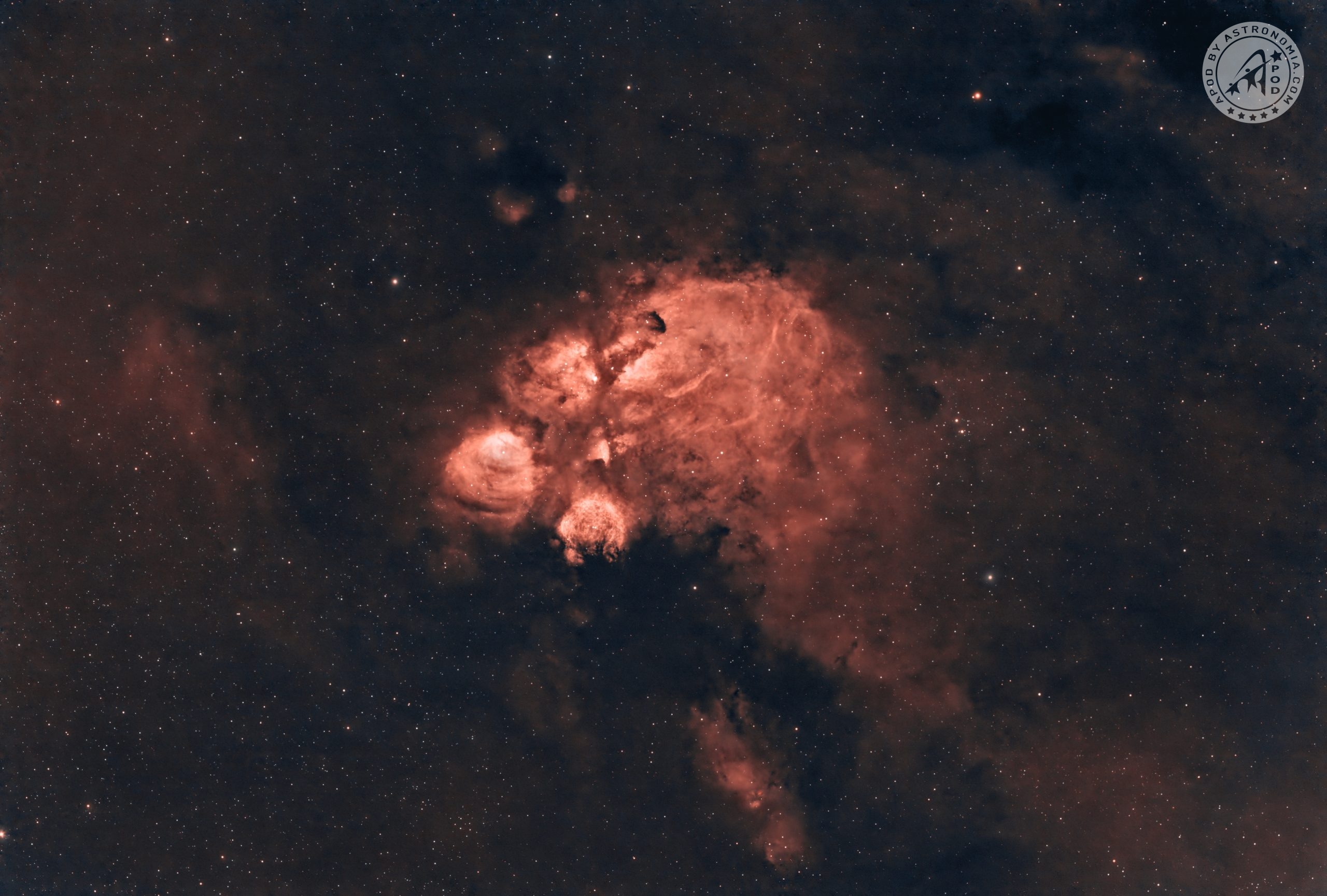 Nebulosa zampa di gatto GUM 64