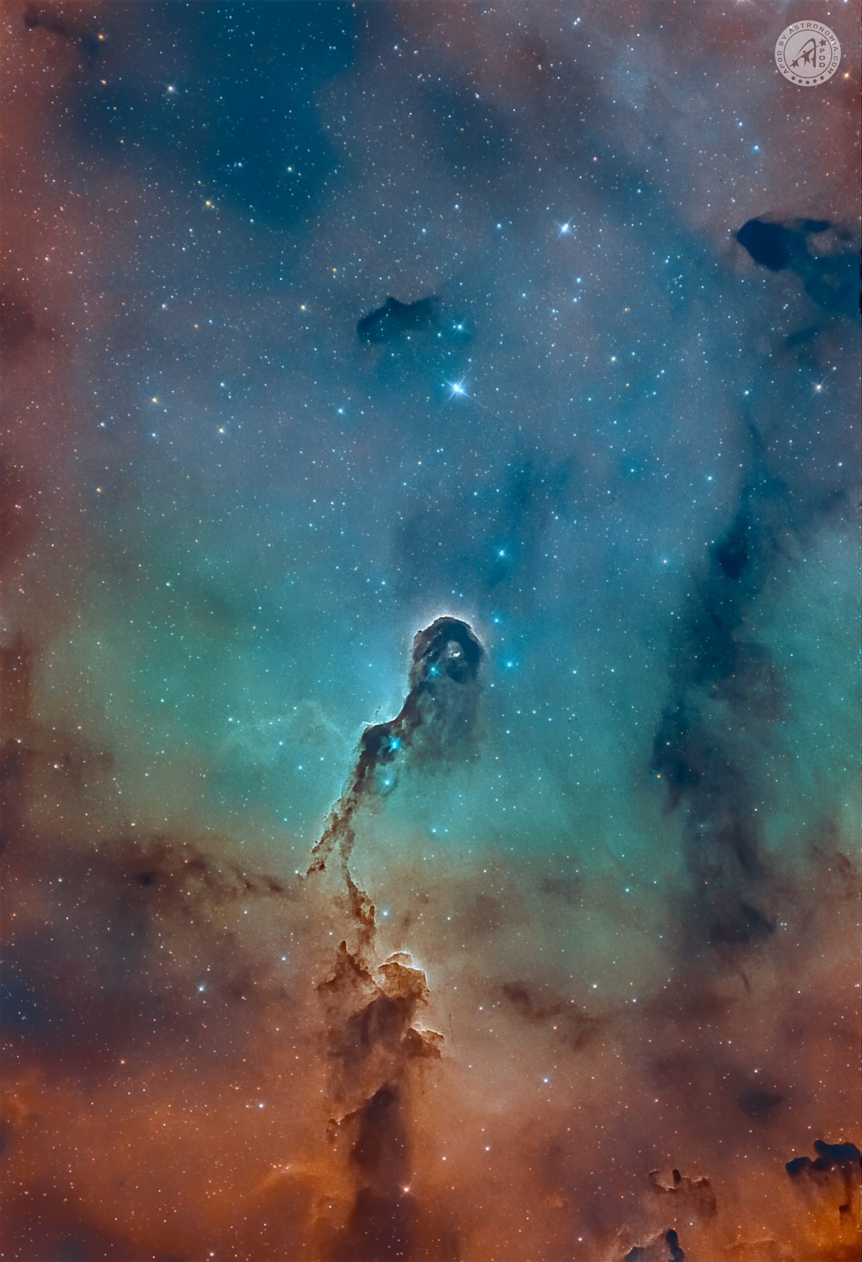 Nebulosa Proboscide di elefante ed ammasso IC1396