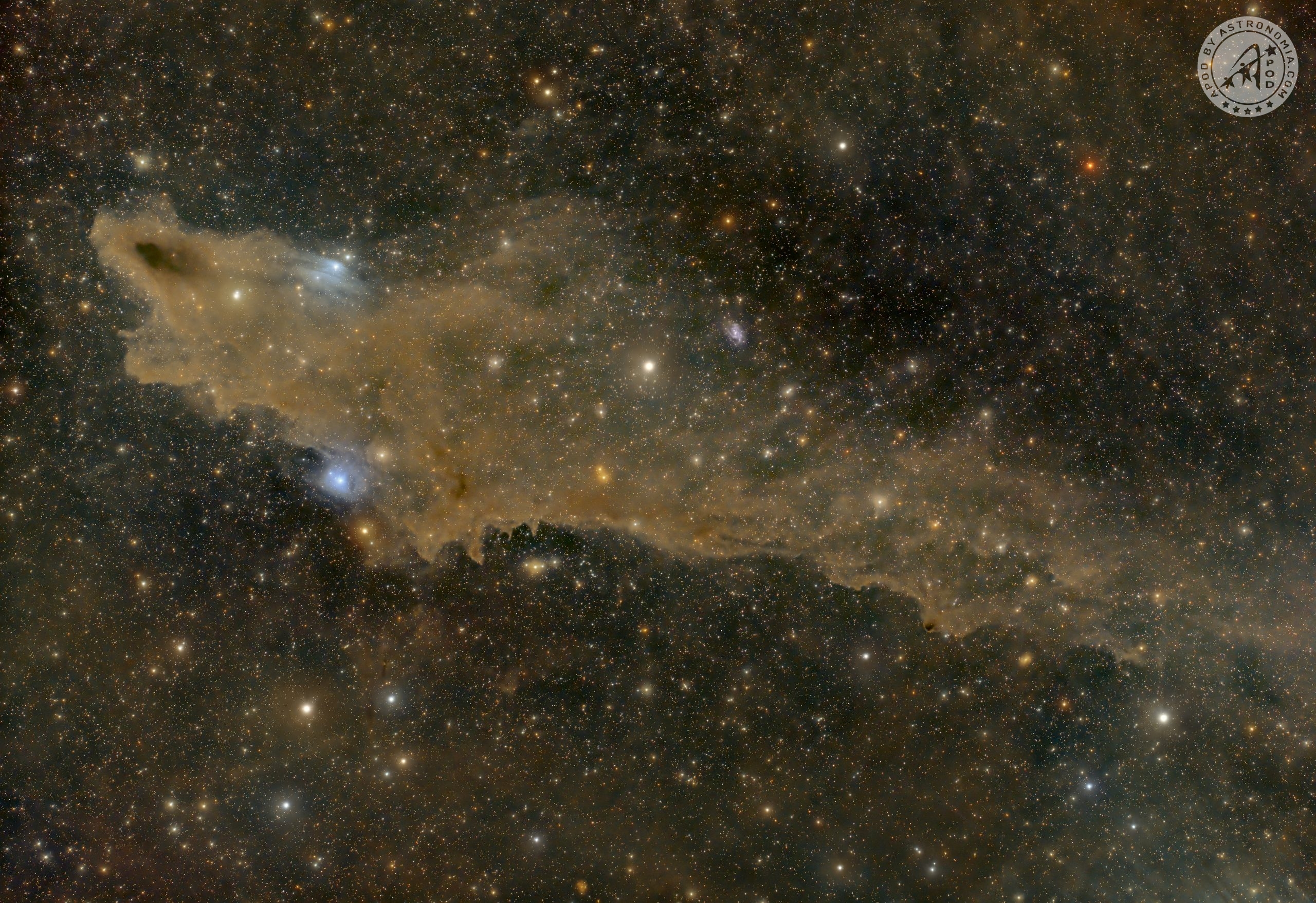 Shark Nebula LDN1235
