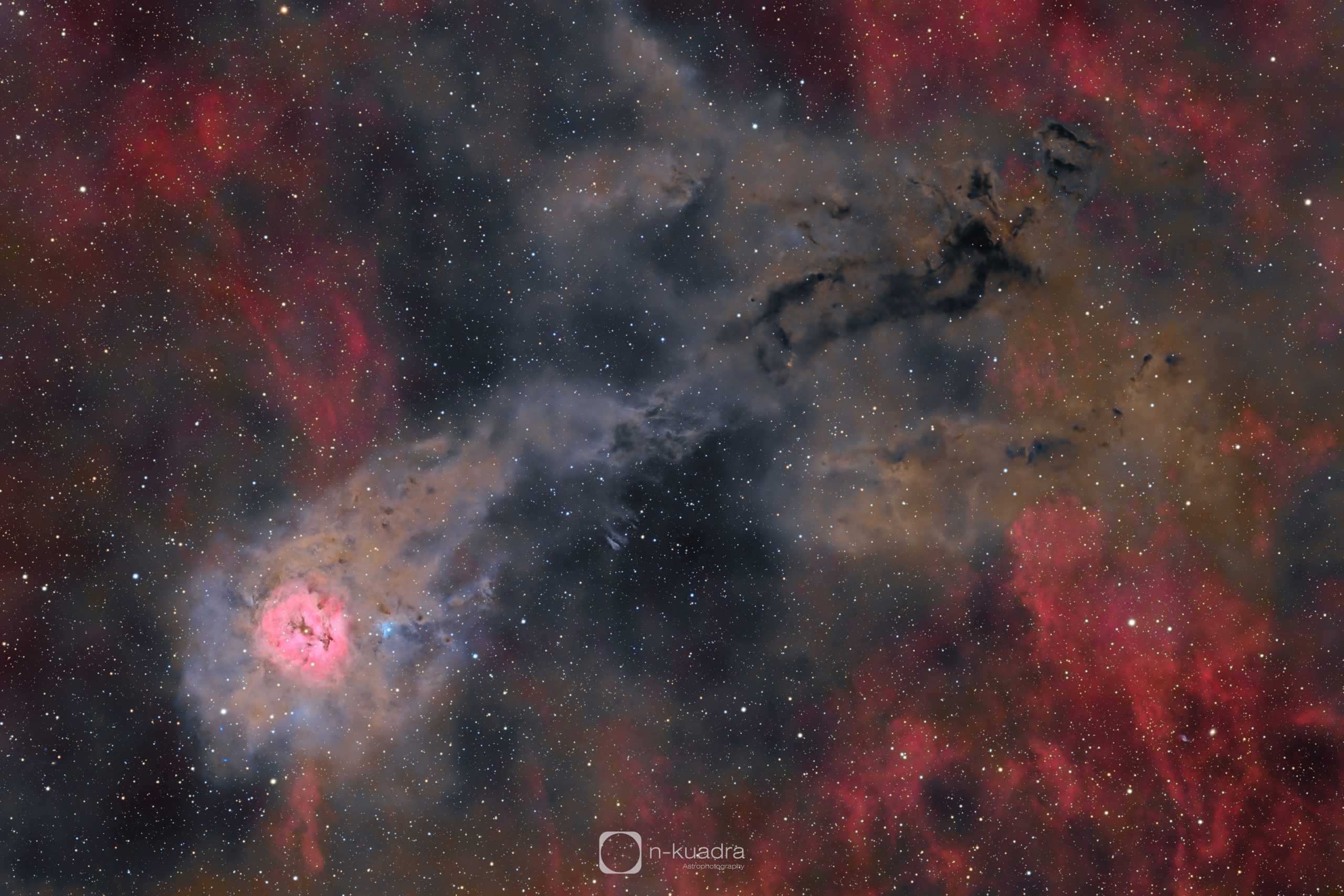 Nebulosa Cocoon e polvere interstellare