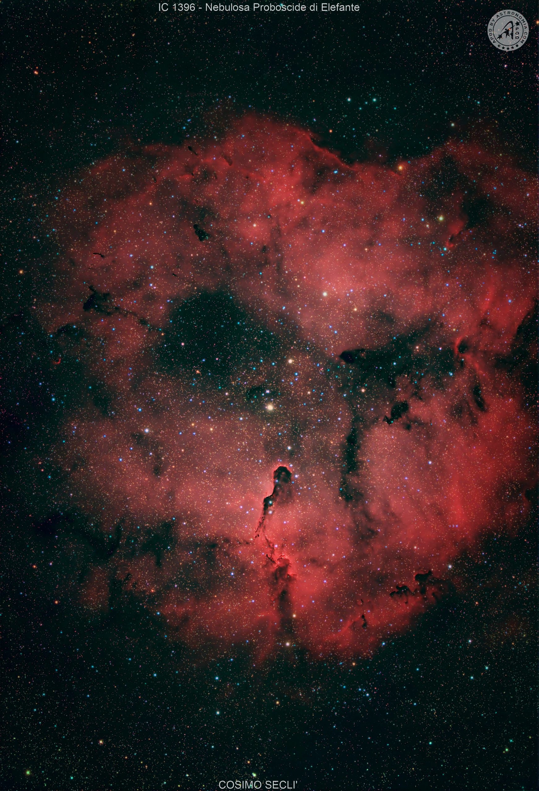 Nebulosa Proboscide di Elefante - IC1396
