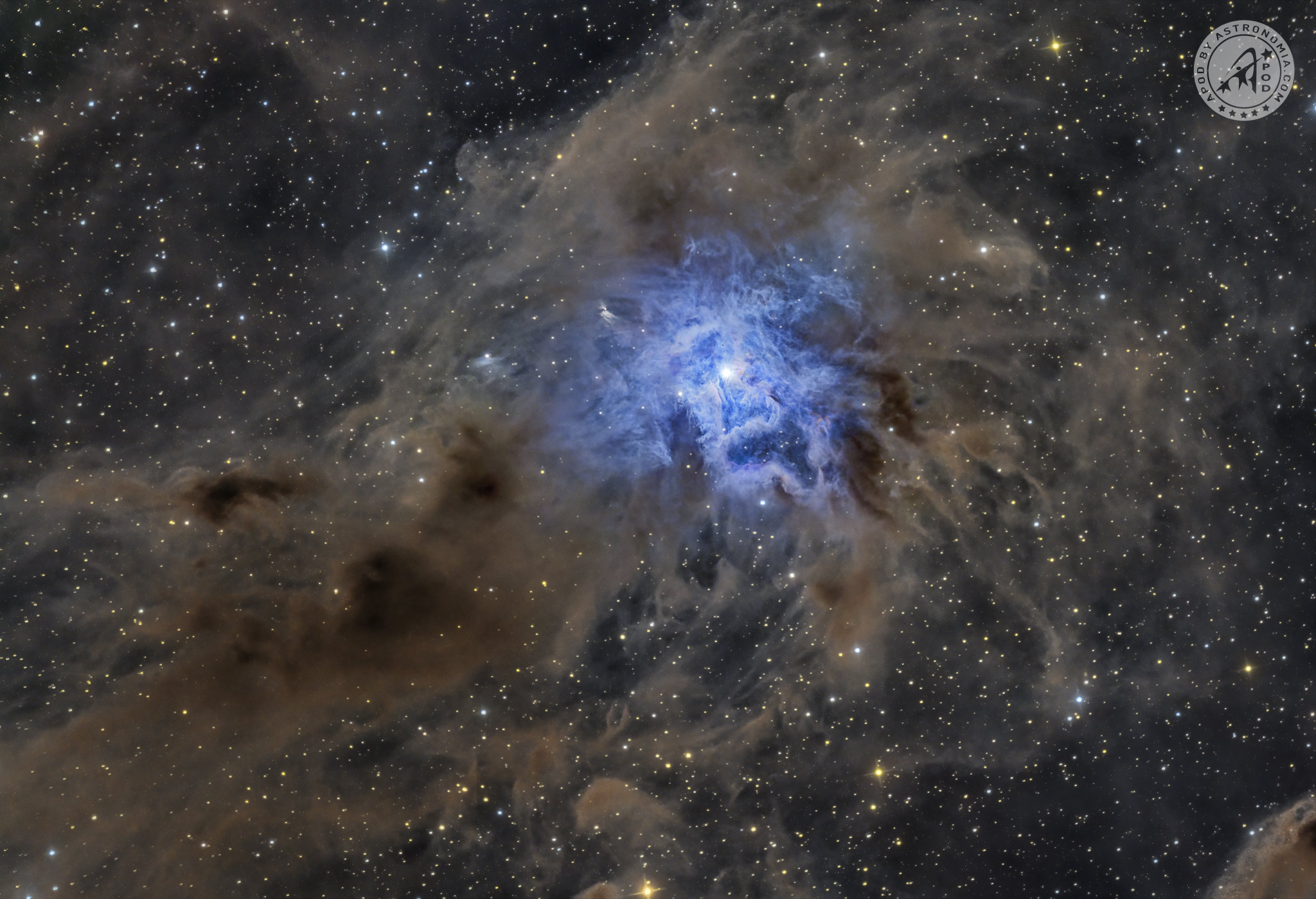 Iris nebula NGC 7023