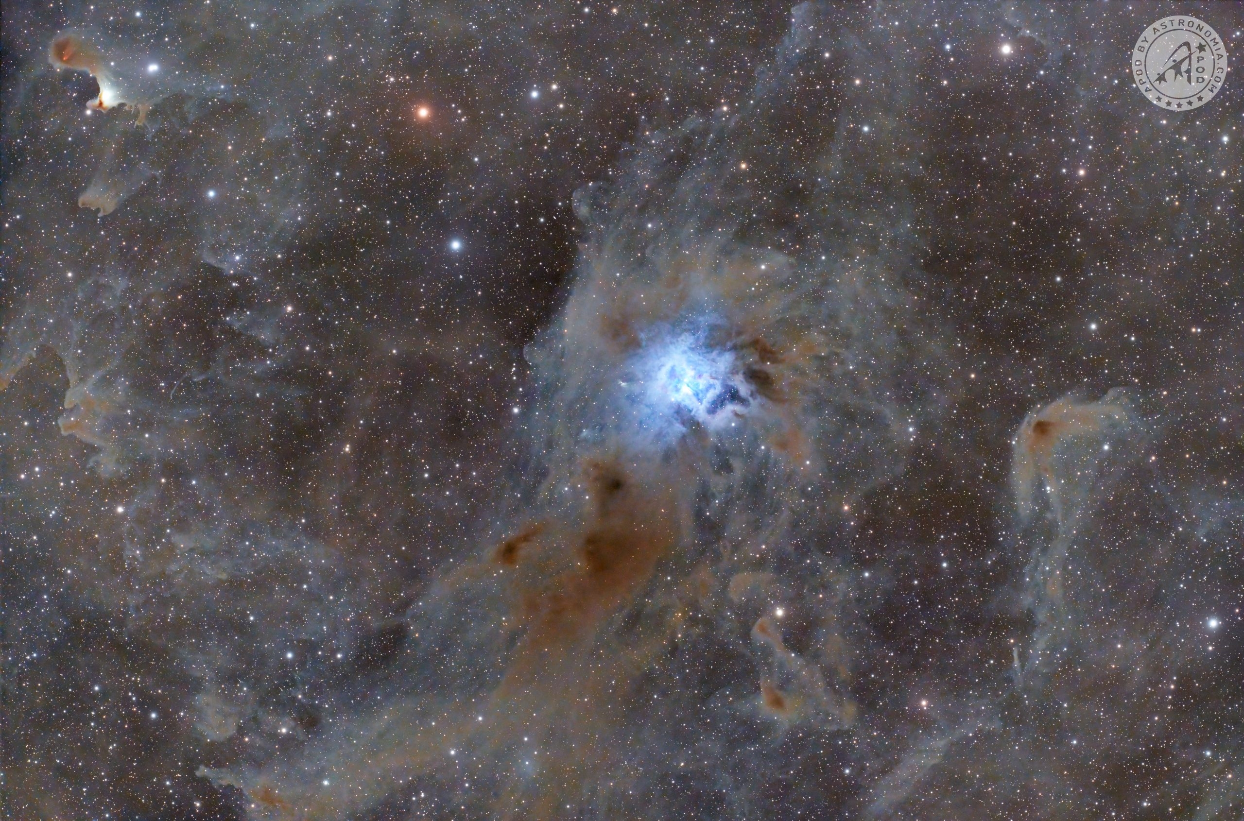 Nebulosa Iris – NGC7023