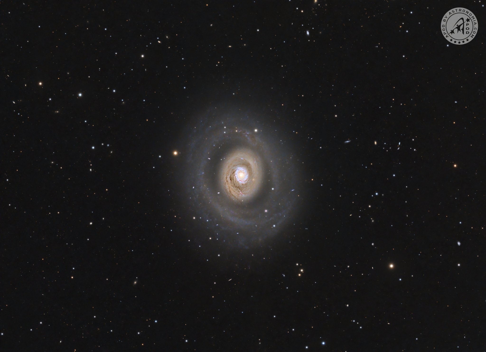 Galassia Occhio di Gatto M94