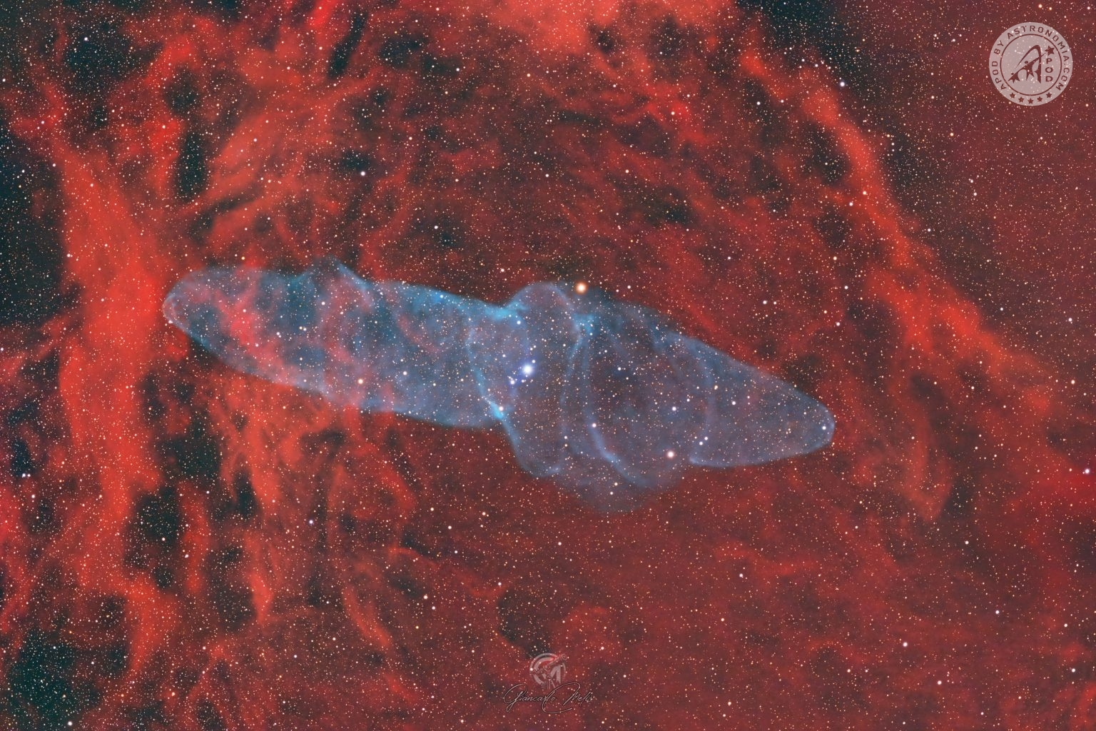 Squid Nebula - APOD by Astronomia.com