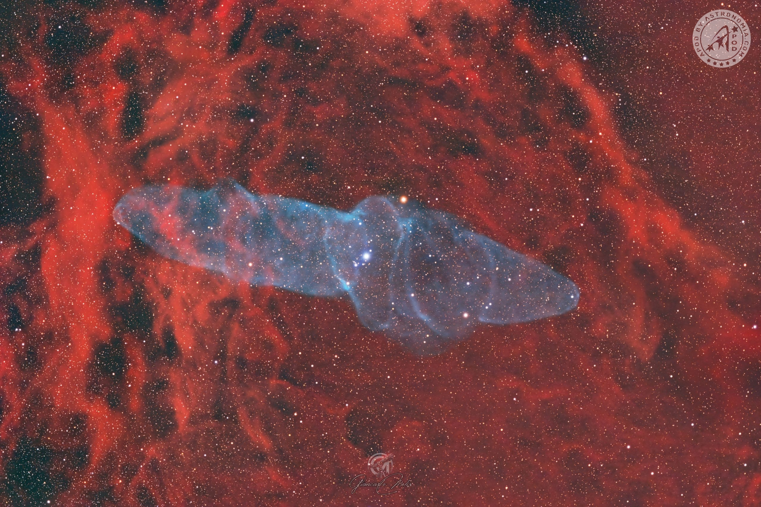 Squid Nebula