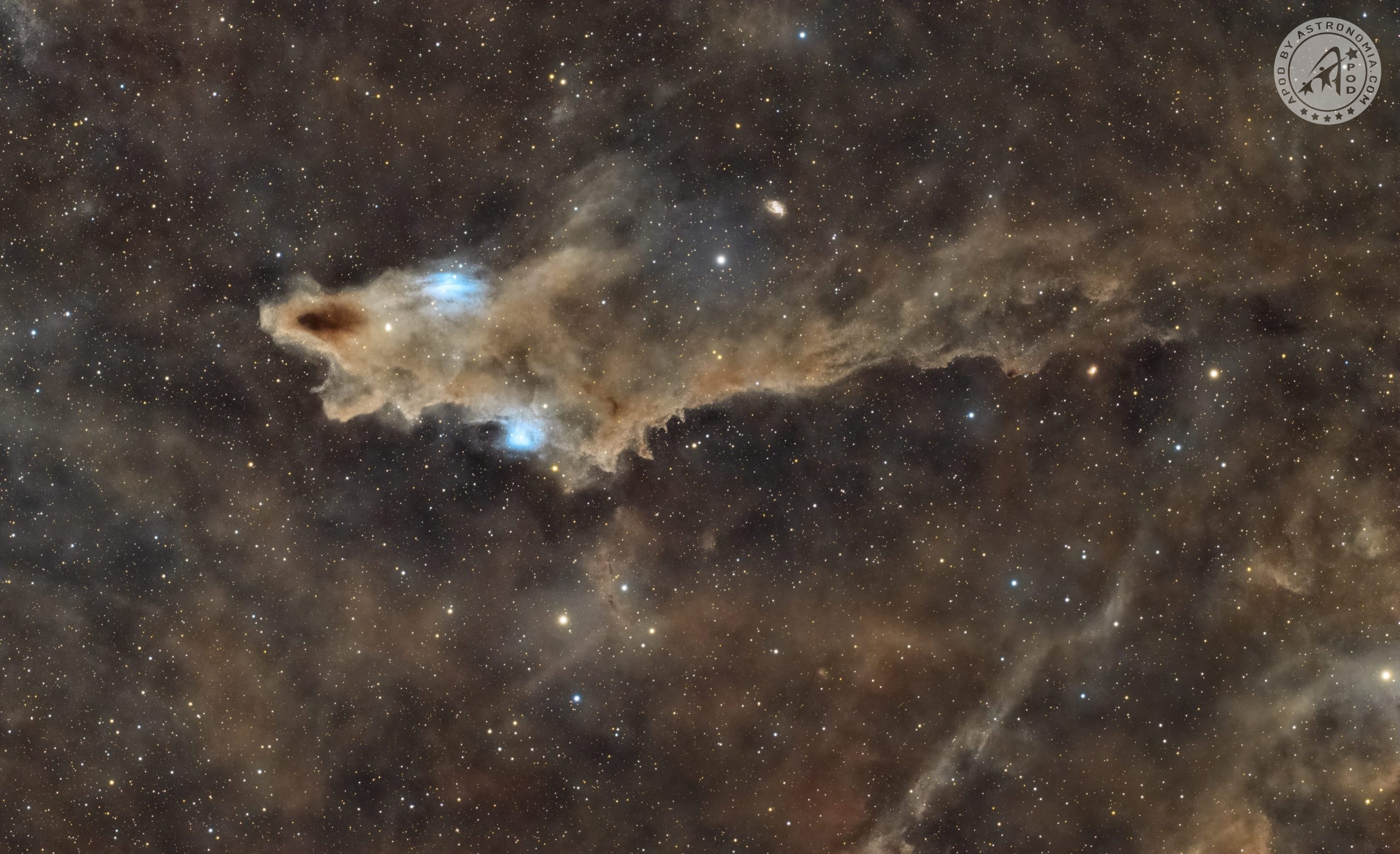 The Shark Nebula