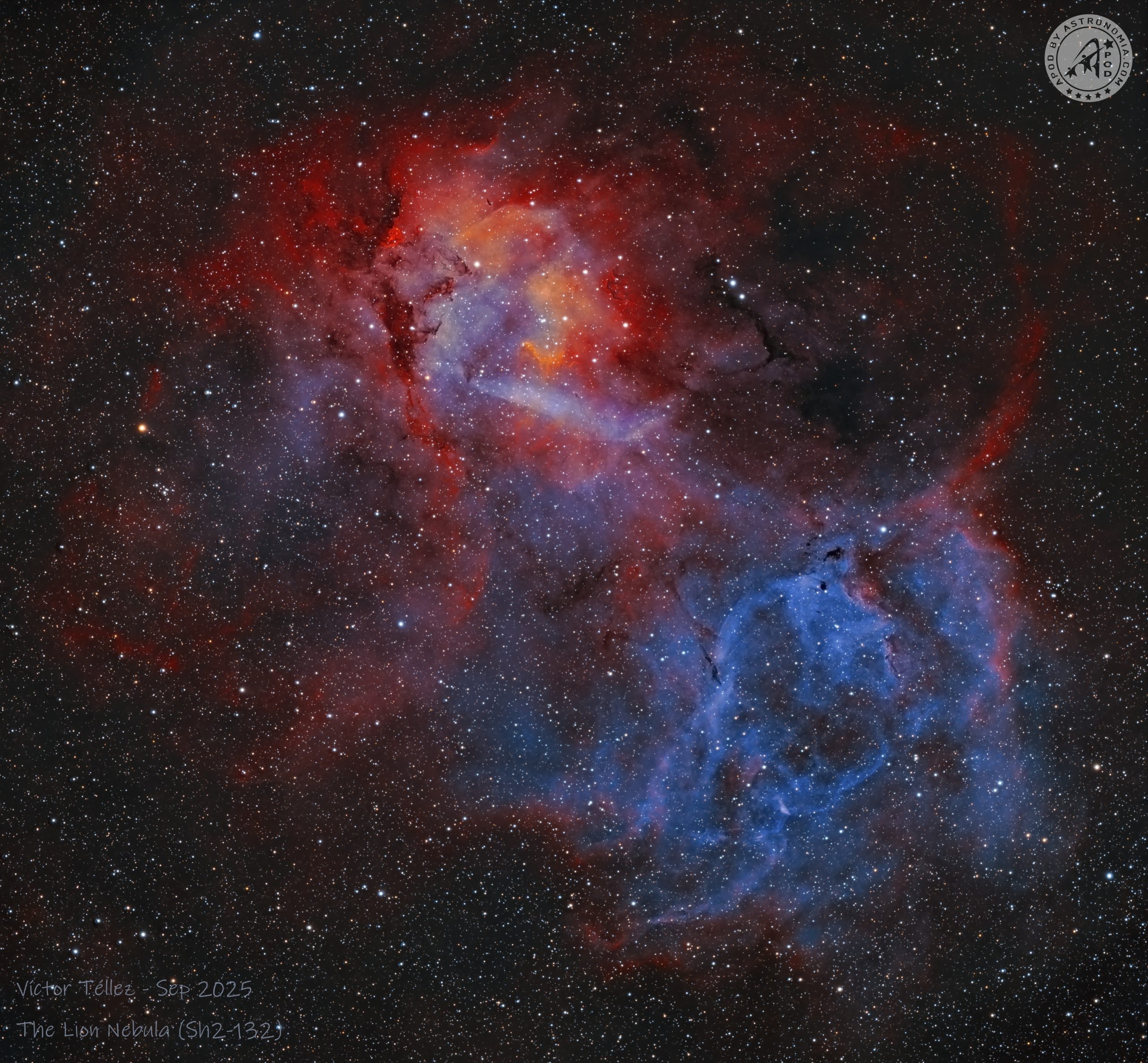 The Lion Nebula