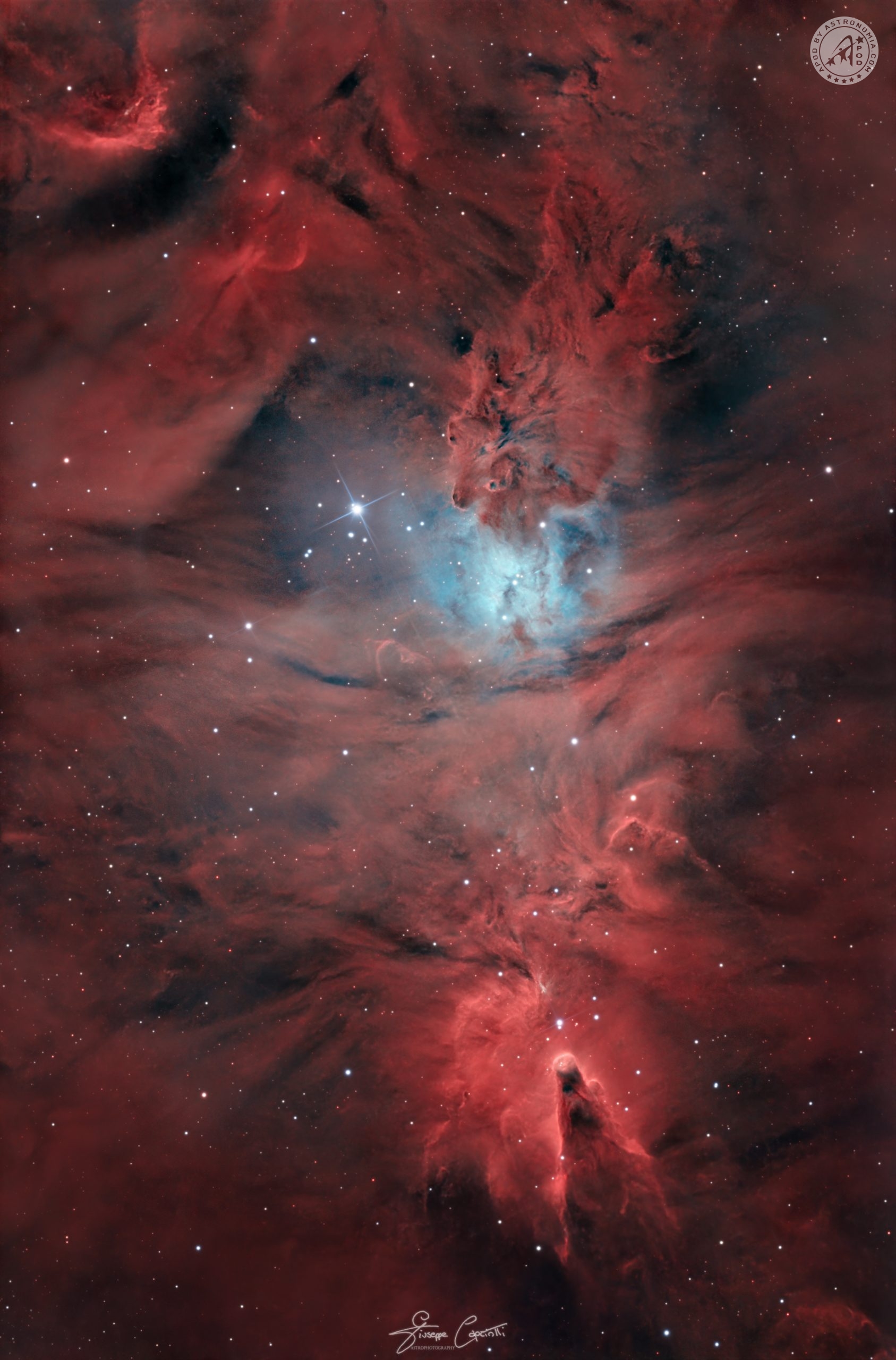 NGC2264: la montagna cosmica nel vivaio stellare