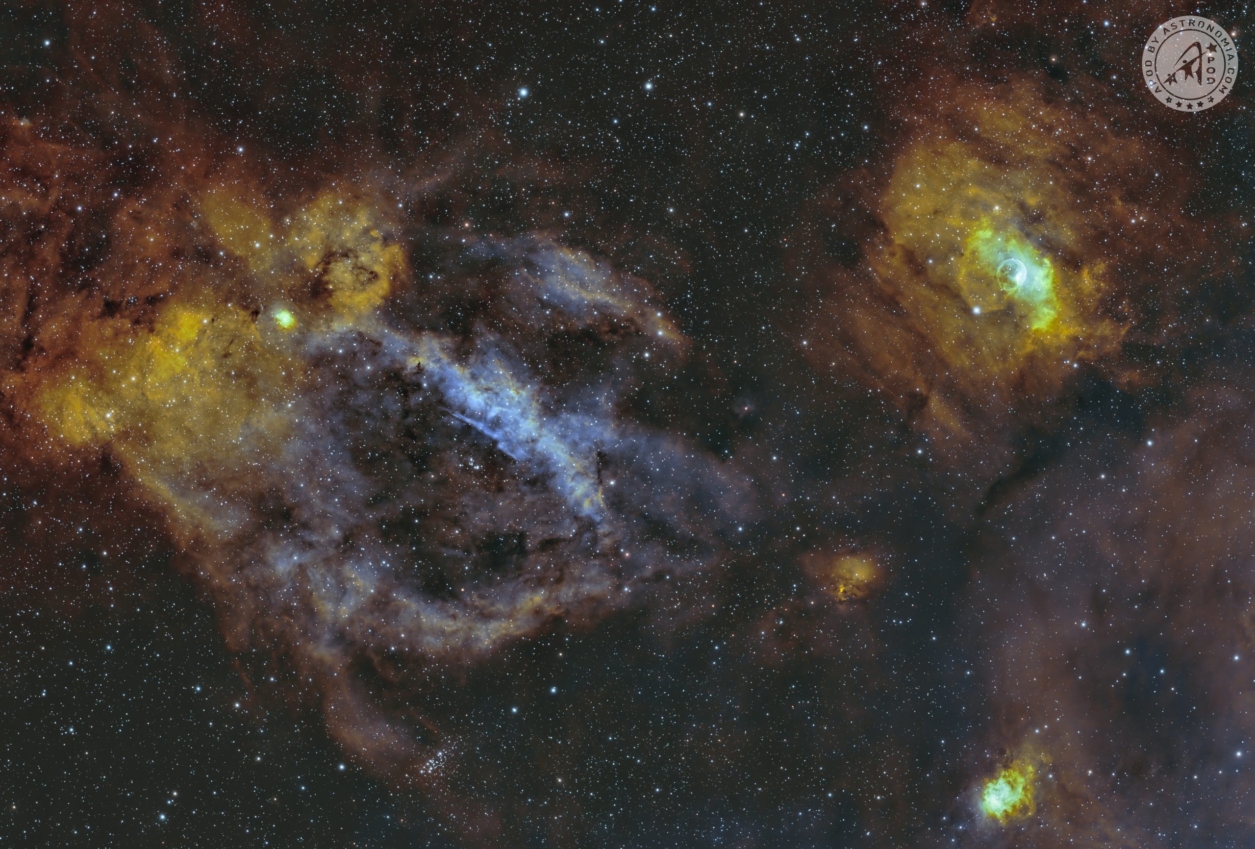 L'Aragosta e la Bolla