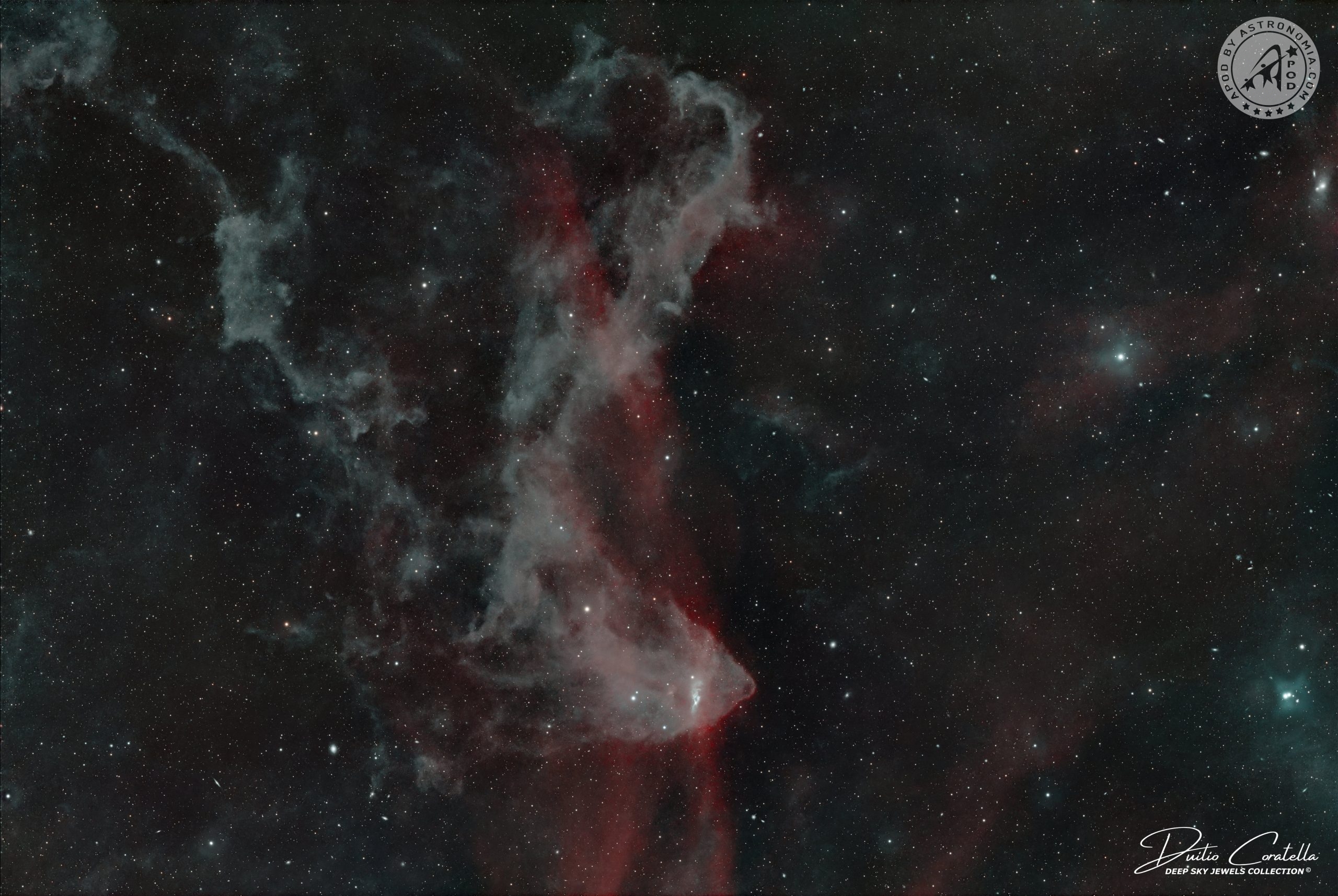 The Gecko Nebula (LBN 437)