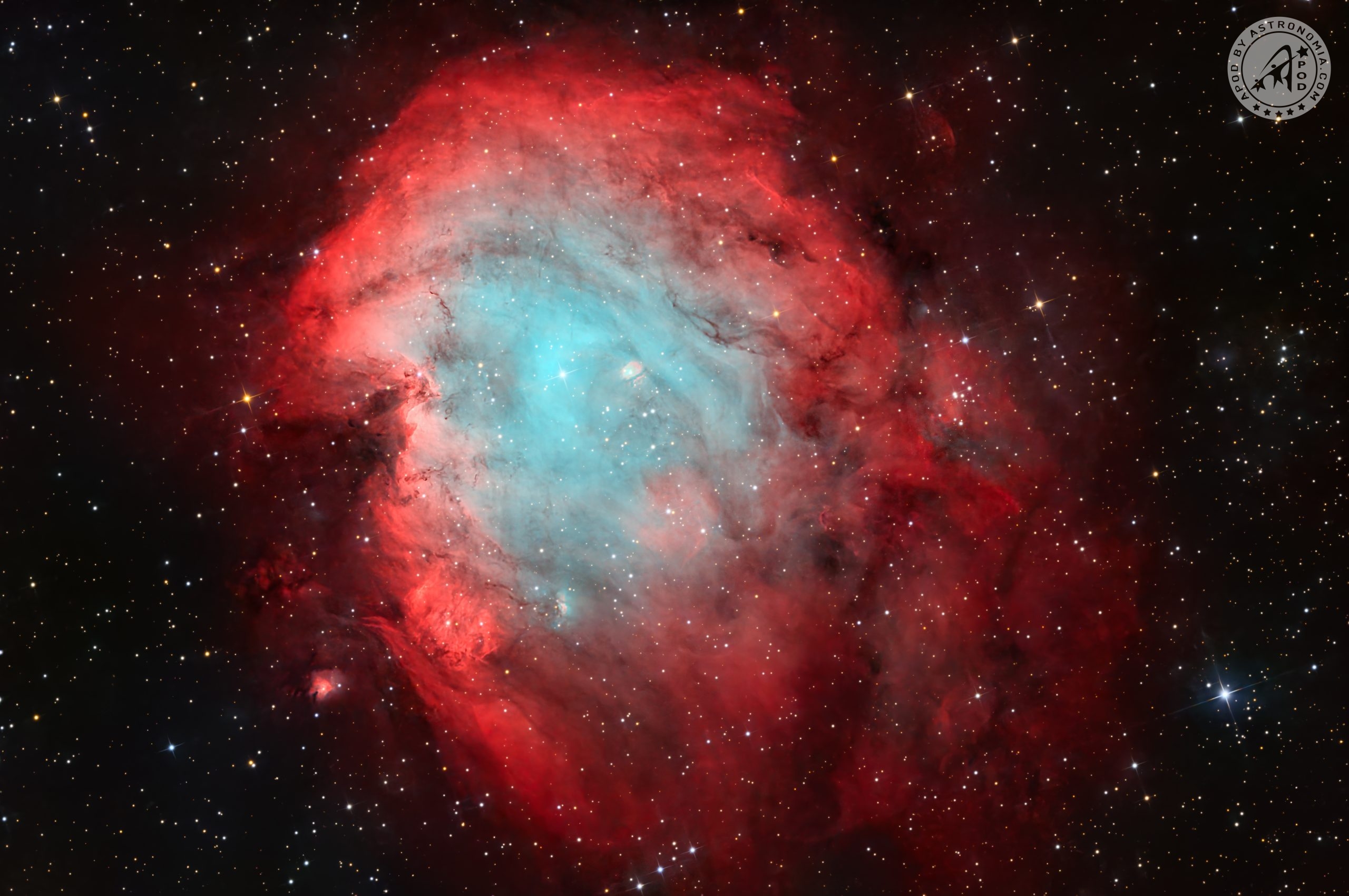 Nebulosa Testa di Scimmia