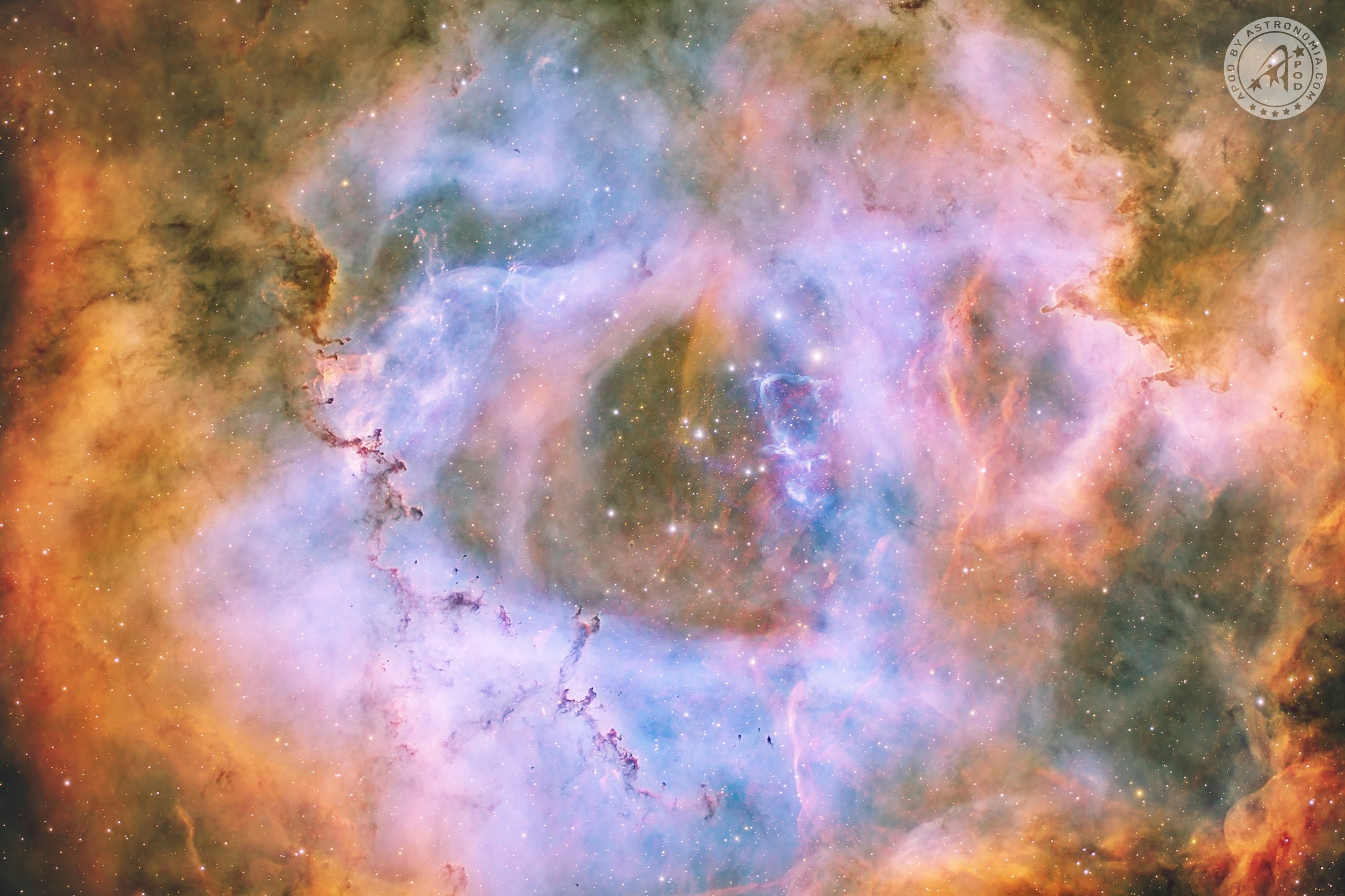 Nel cuore della Nebulosa Rosetta