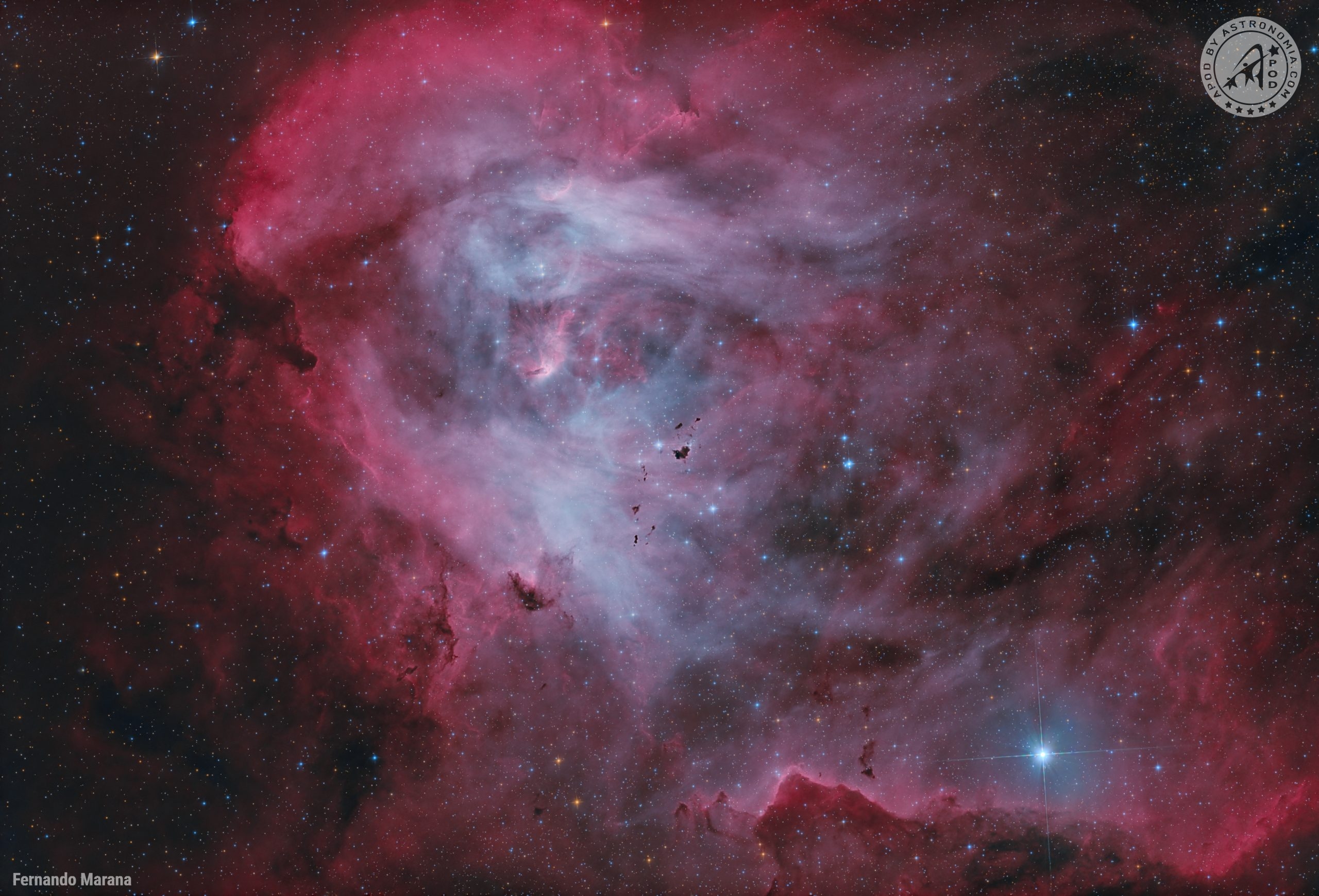 Dark Seeds in the Running Chicken Nebula